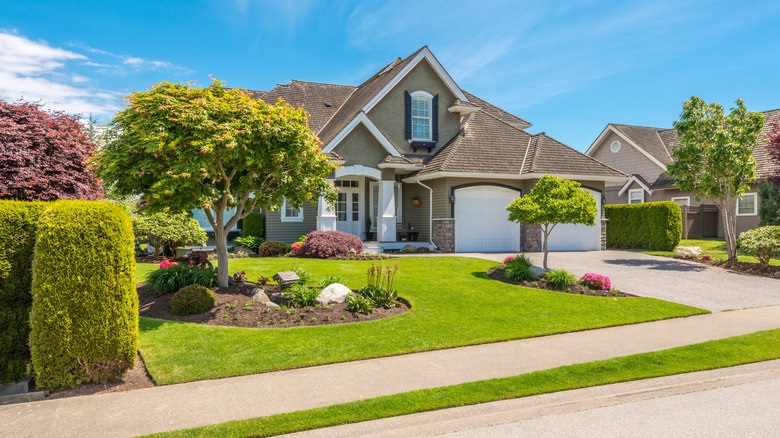 Can Landscaping Improve Home Safety and Value?