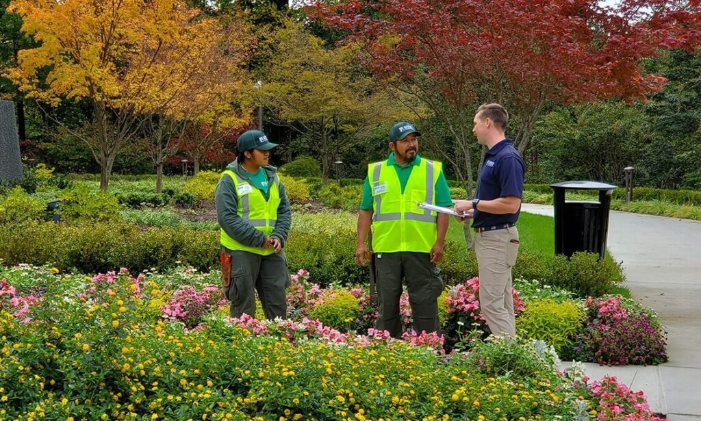 Understanding Homeowner Landscaping Responsibilities in Modern Projects