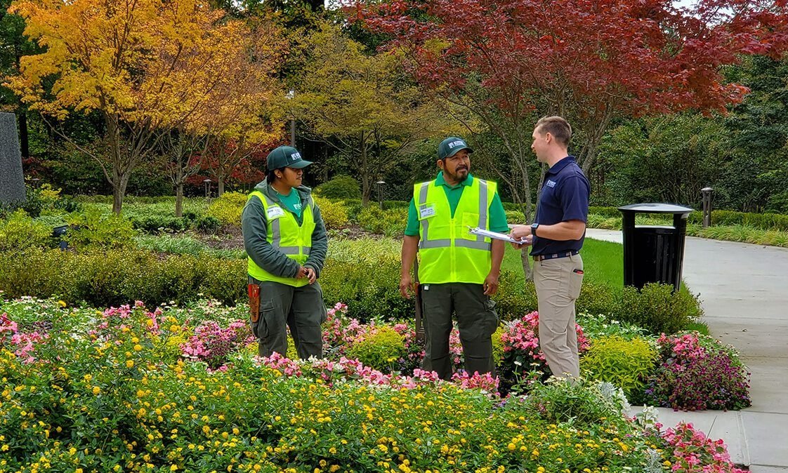 Understanding Homeowner Landscaping Responsibilities in Modern Projects