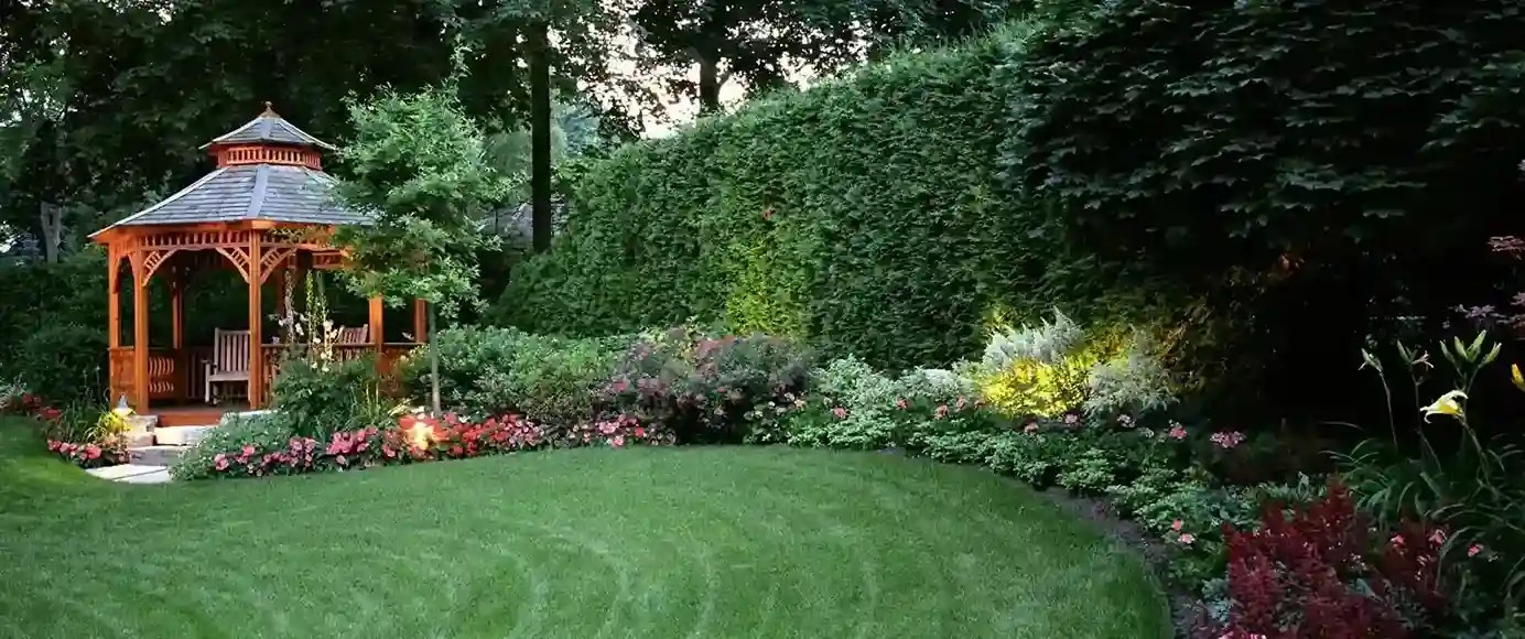 Why Homeowners Choose Environmentally Friendly Landscaping